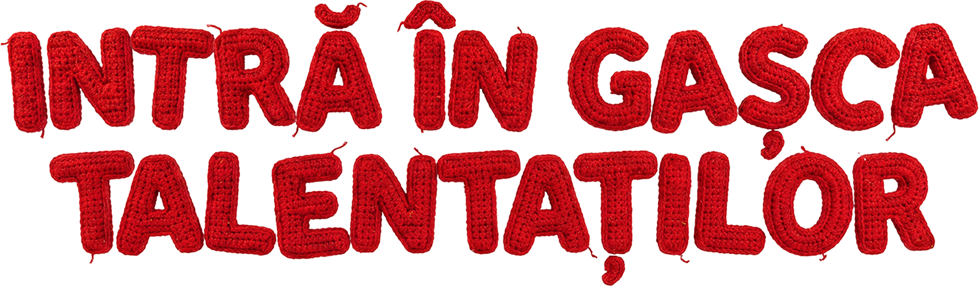 Gasca Talentatilor Hero Text